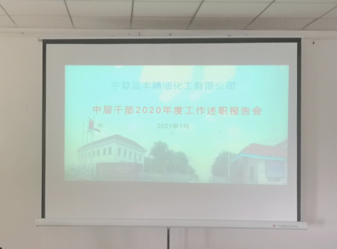 寧夏藍豐開(kāi)展2020年度中層干部述職評議